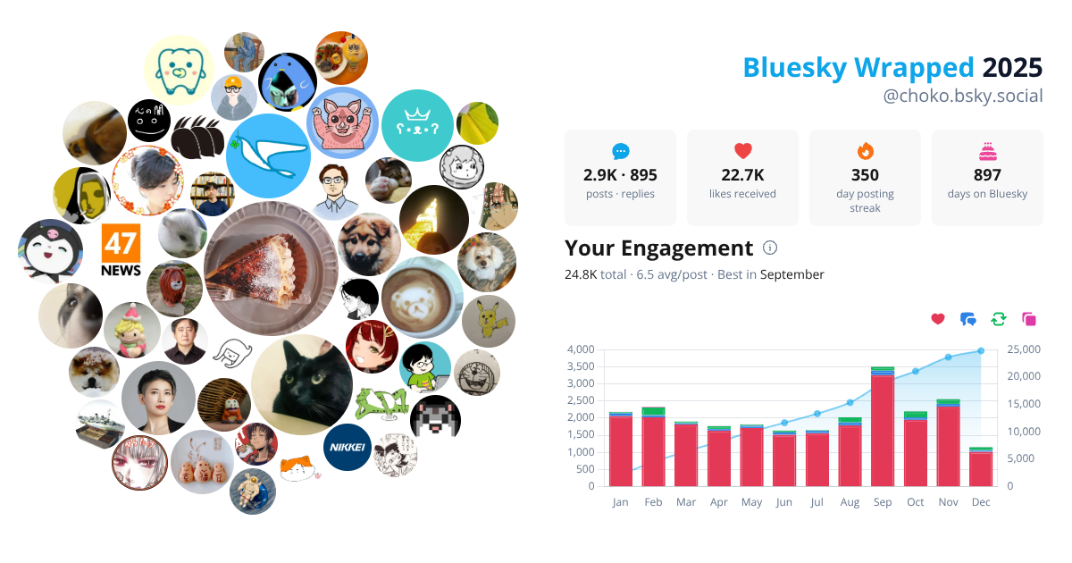 Your Bluesky Wrapped 2025 preview