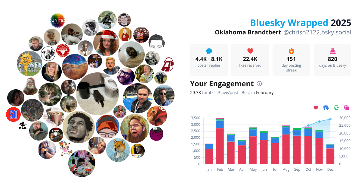 Your Bluesky Wrapped 2025 preview