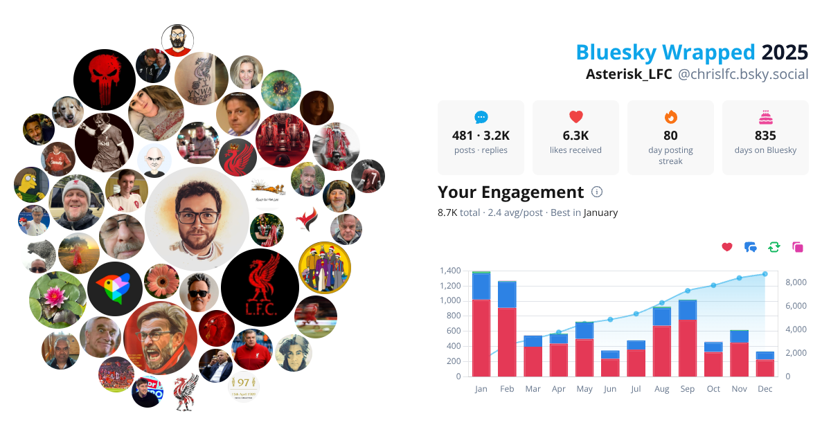 Your Bluesky Wrapped 2025 preview