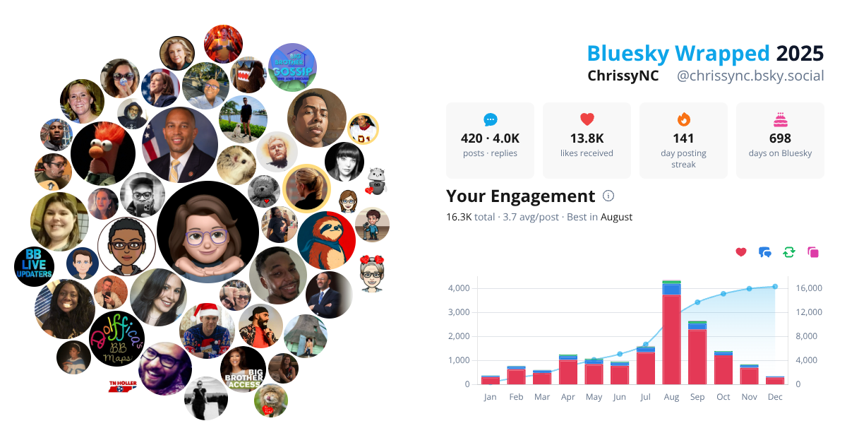 Your Bluesky Wrapped 2025 preview