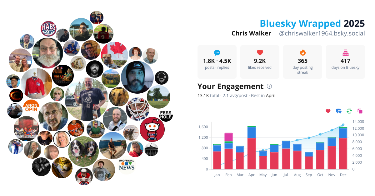 Your Bluesky Wrapped 2025 preview