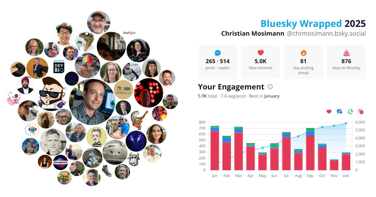Your Bluesky Wrapped 2025 preview