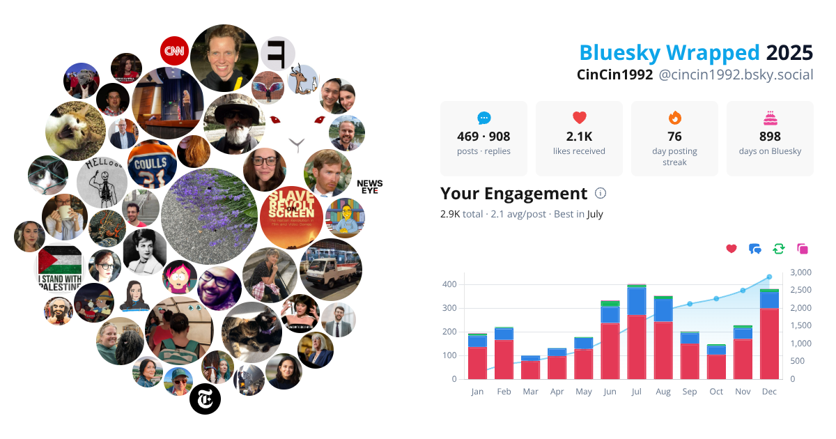 Your Bluesky Wrapped 2025 preview