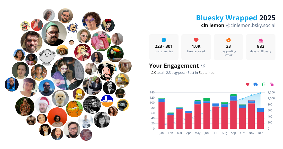 Your Bluesky Wrapped 2025 preview