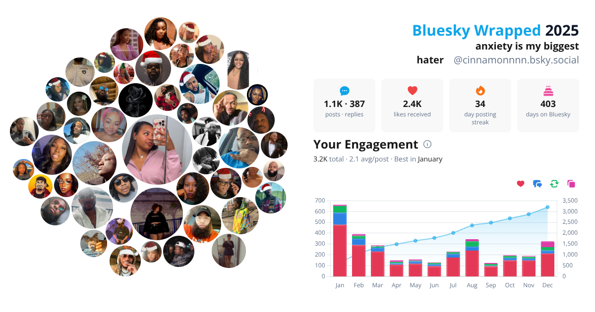 Your Bluesky Wrapped 2025 preview
