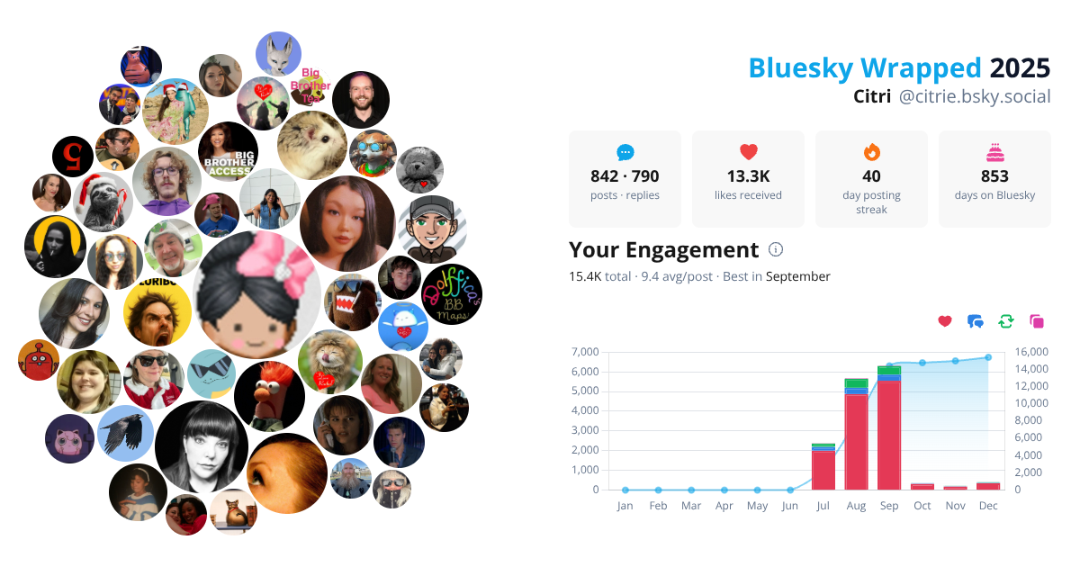 Your Bluesky Wrapped 2025 preview