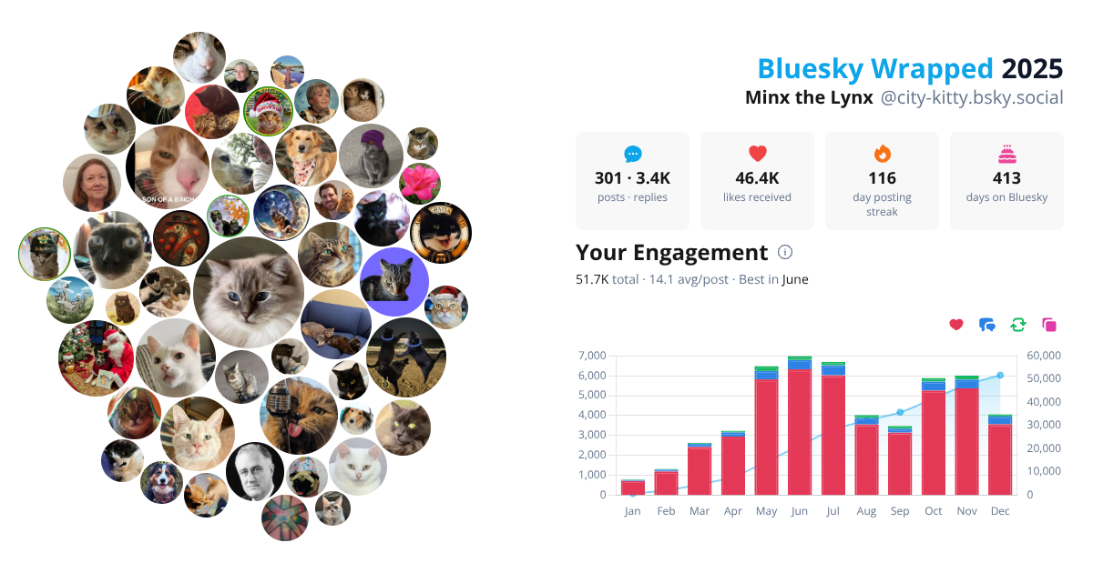 Your Bluesky Wrapped 2025 preview