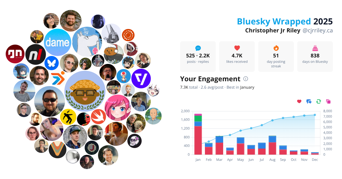 Your Bluesky Wrapped 2025 preview