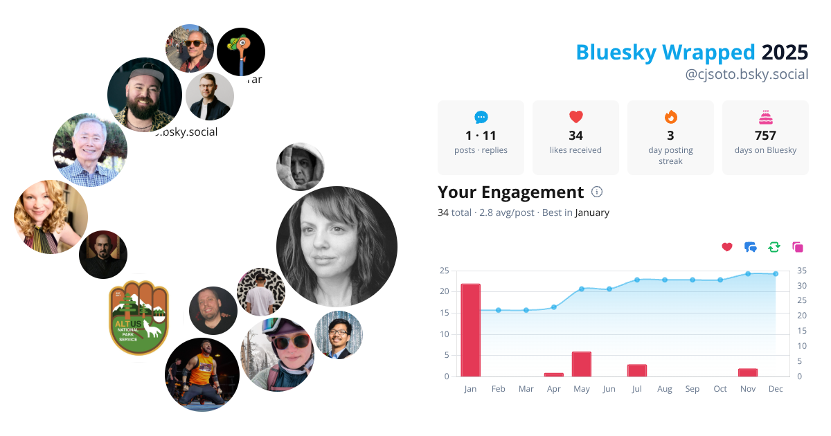 Your Bluesky Wrapped 2025 preview