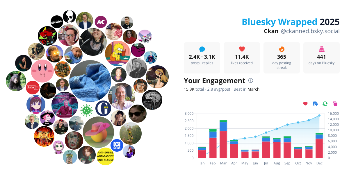 Your Bluesky Wrapped 2025 preview