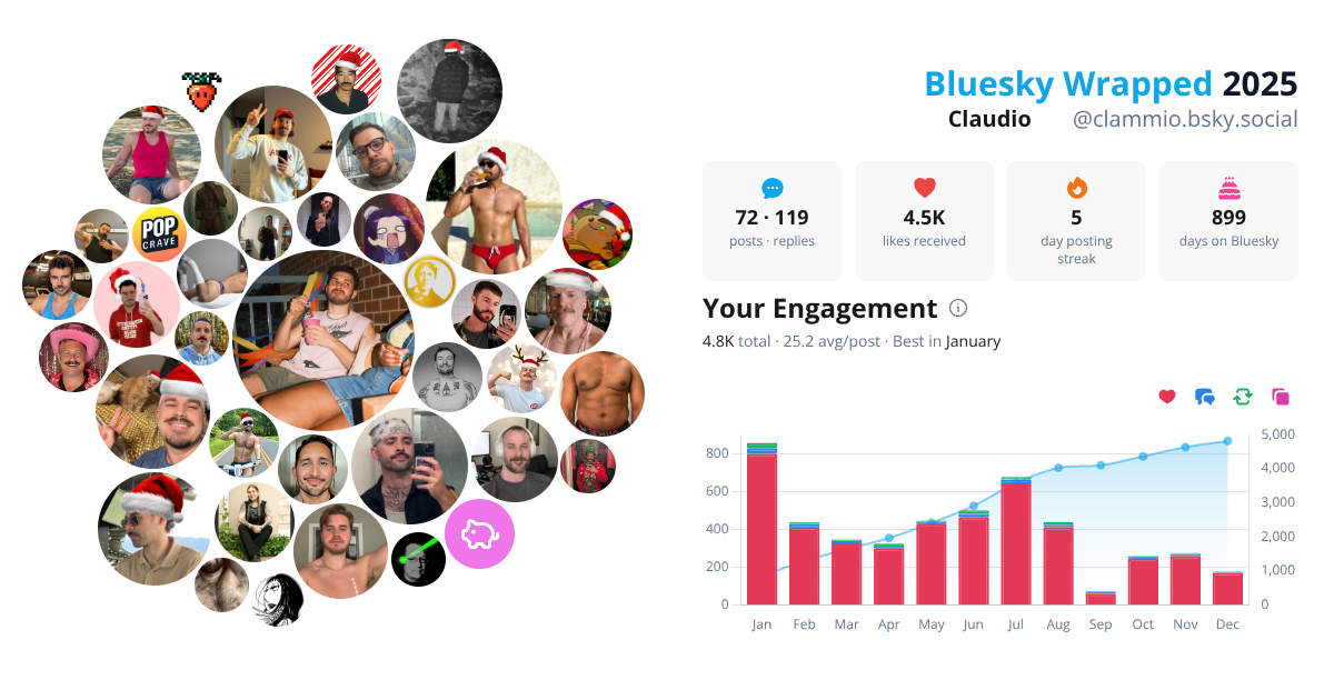 Your Bluesky Wrapped 2025 preview