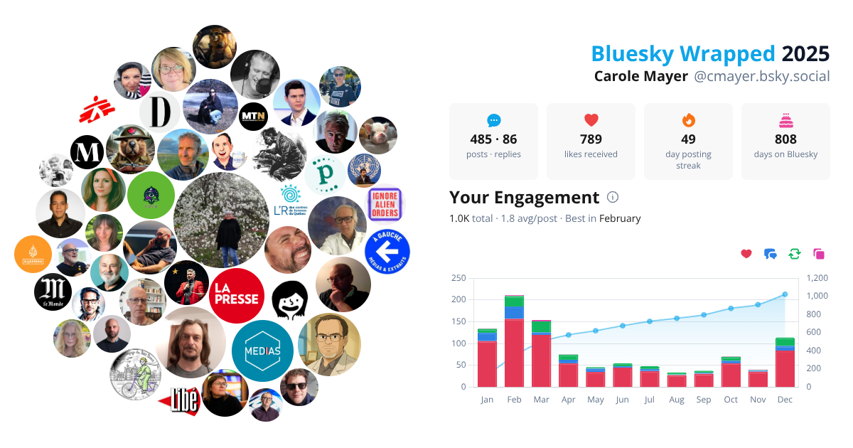 Your Bluesky Wrapped 2025 preview