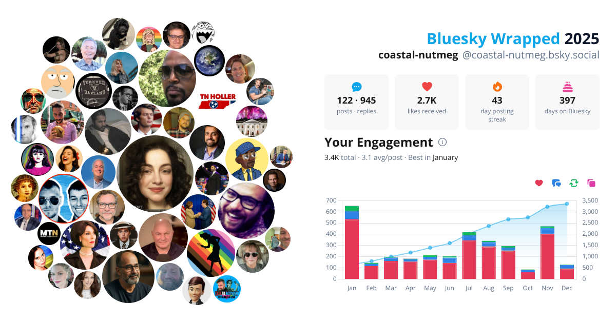 Your Bluesky Wrapped 2025 preview