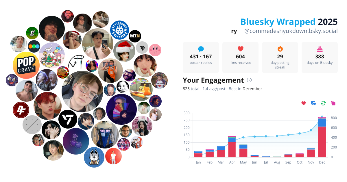 Your Bluesky Wrapped 2025 preview