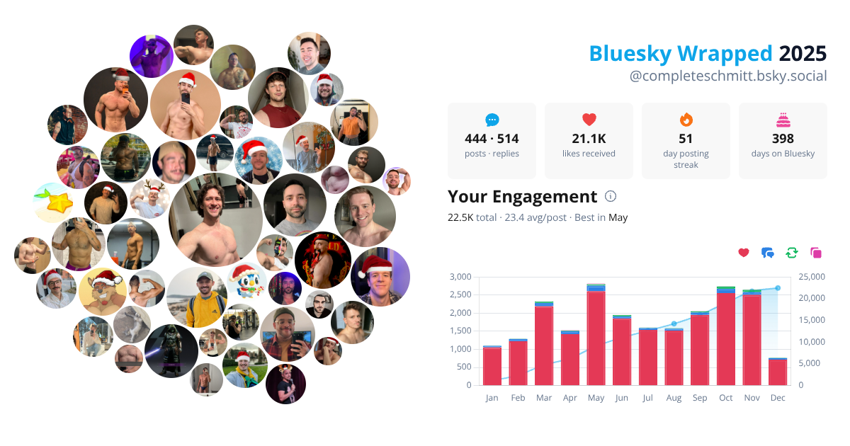 Your Bluesky Wrapped 2025 preview