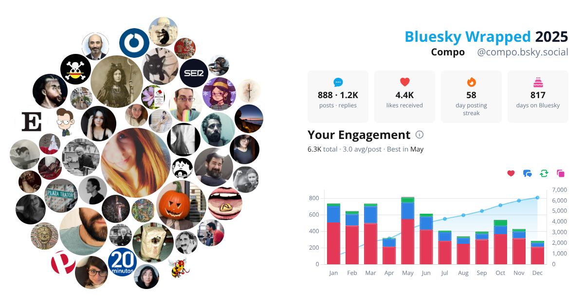 Your Bluesky Wrapped 2025 preview