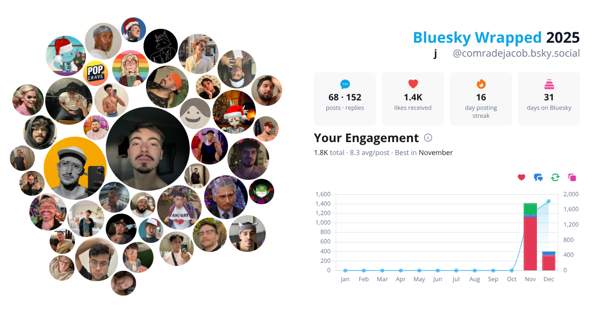 Your Bluesky Wrapped 2025 preview