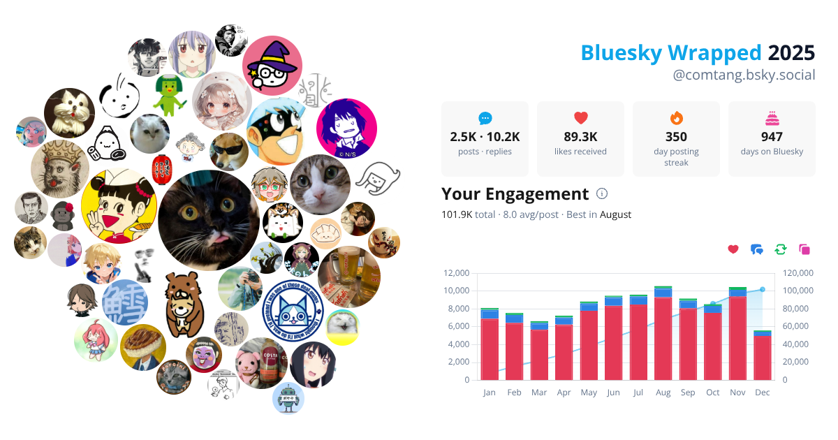 Your Bluesky Wrapped 2025 preview