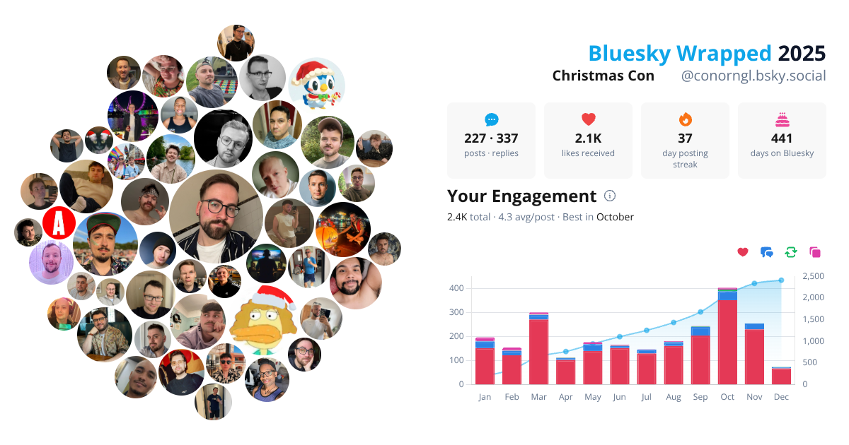 Your Bluesky Wrapped 2025 preview