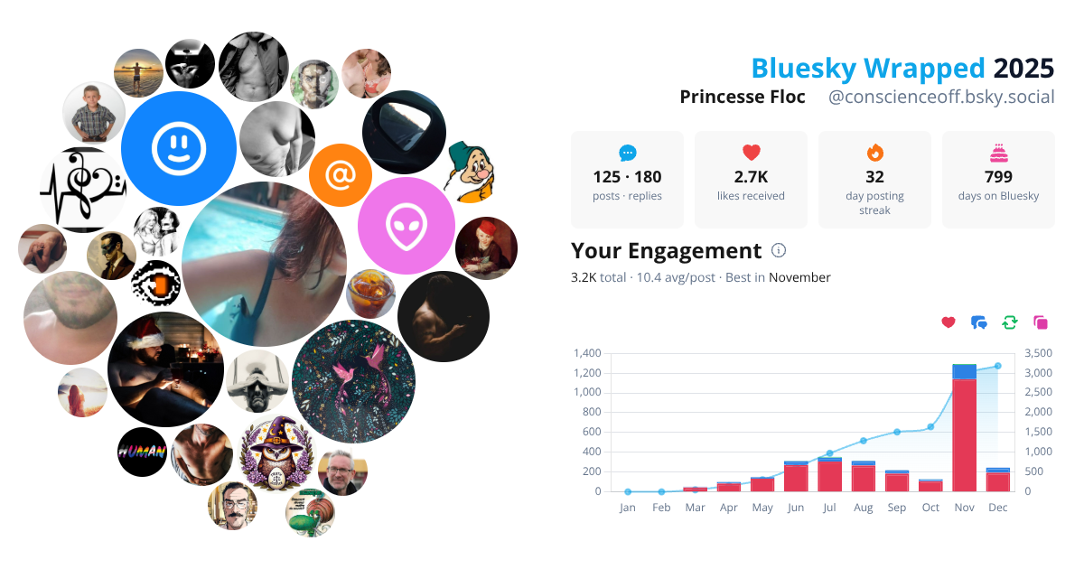 Your Bluesky Wrapped 2025 preview