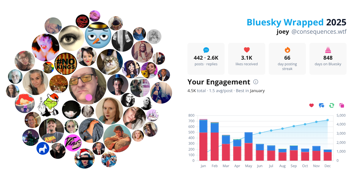 Your Bluesky Wrapped 2025 preview