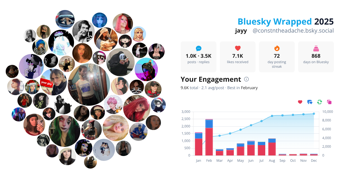 Your Bluesky Wrapped 2025 preview