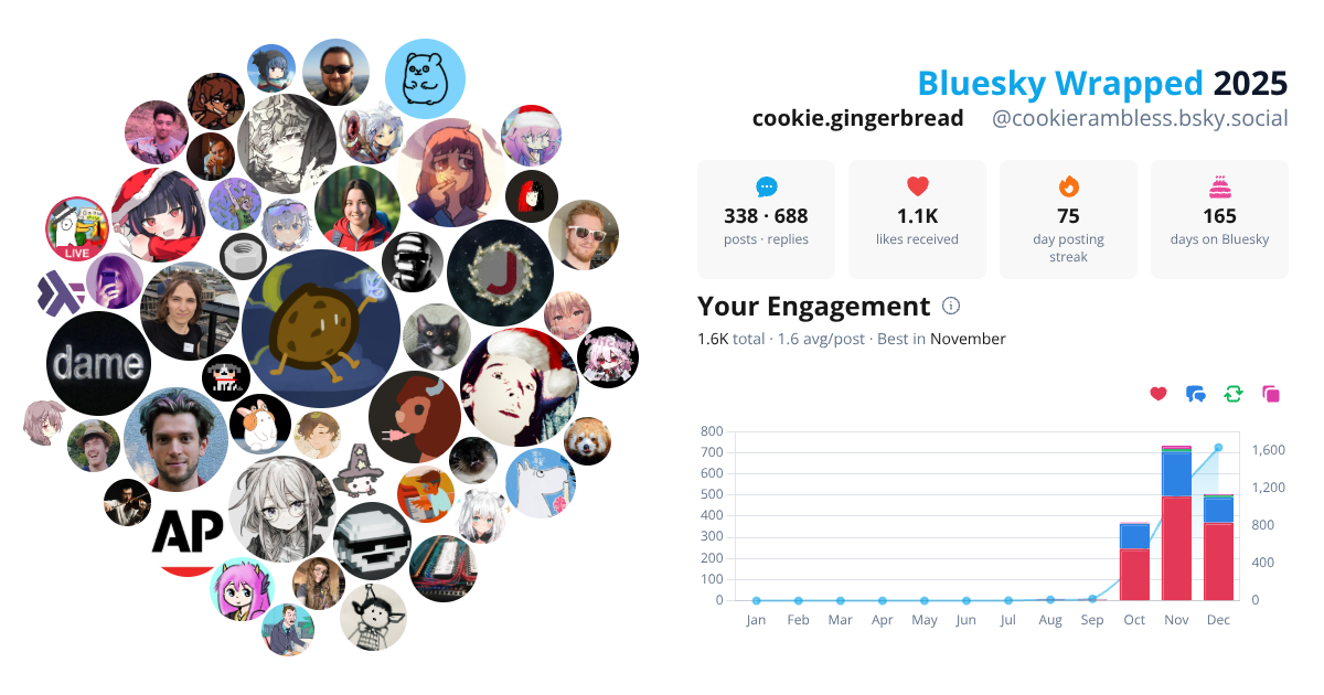 Your Bluesky Wrapped 2025 preview