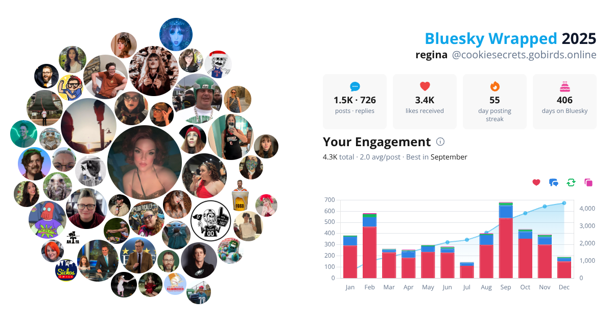 Your Bluesky Wrapped 2025 preview