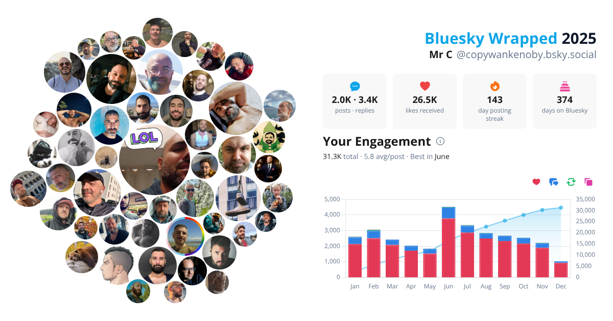 Your Bluesky Wrapped 2025 preview