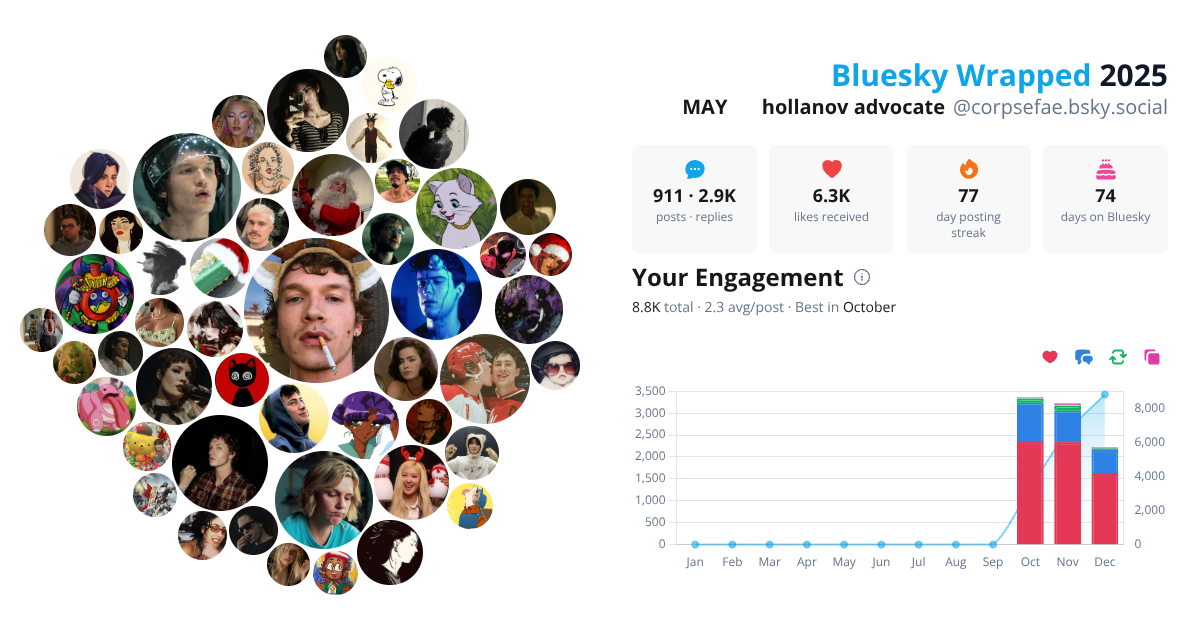 Your Bluesky Wrapped 2025 preview