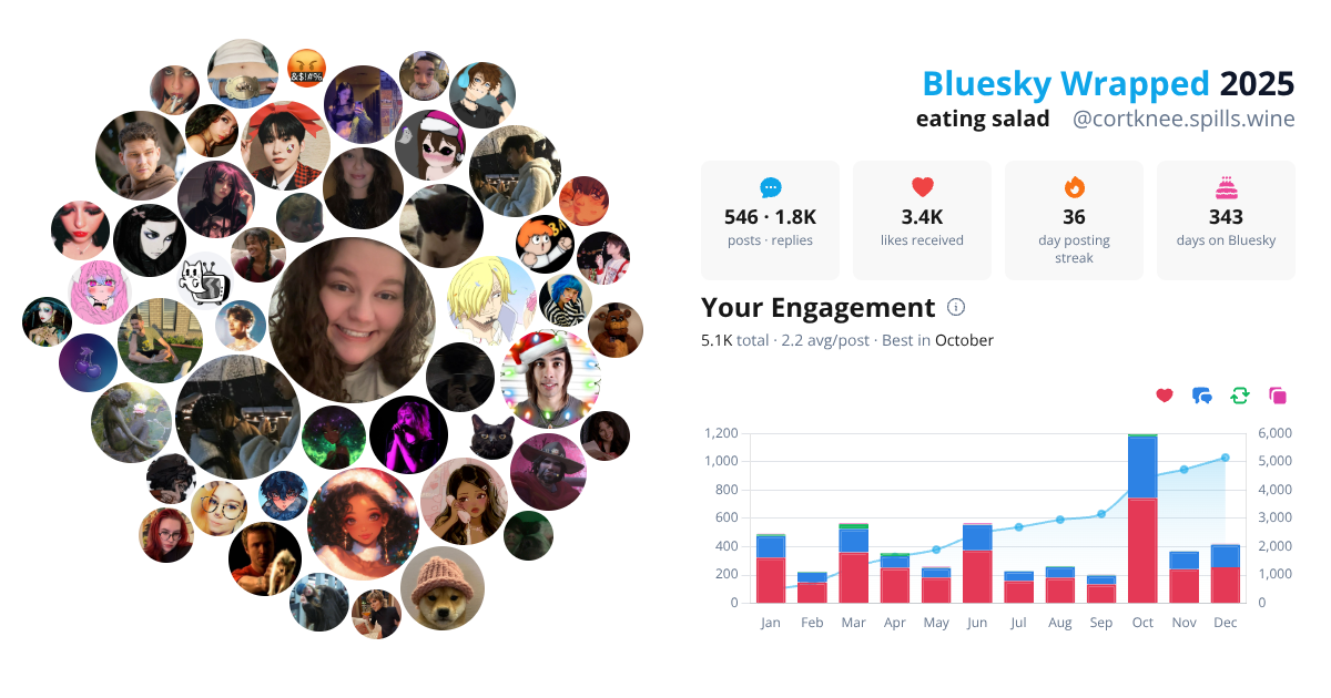 Your Bluesky Wrapped 2025 preview