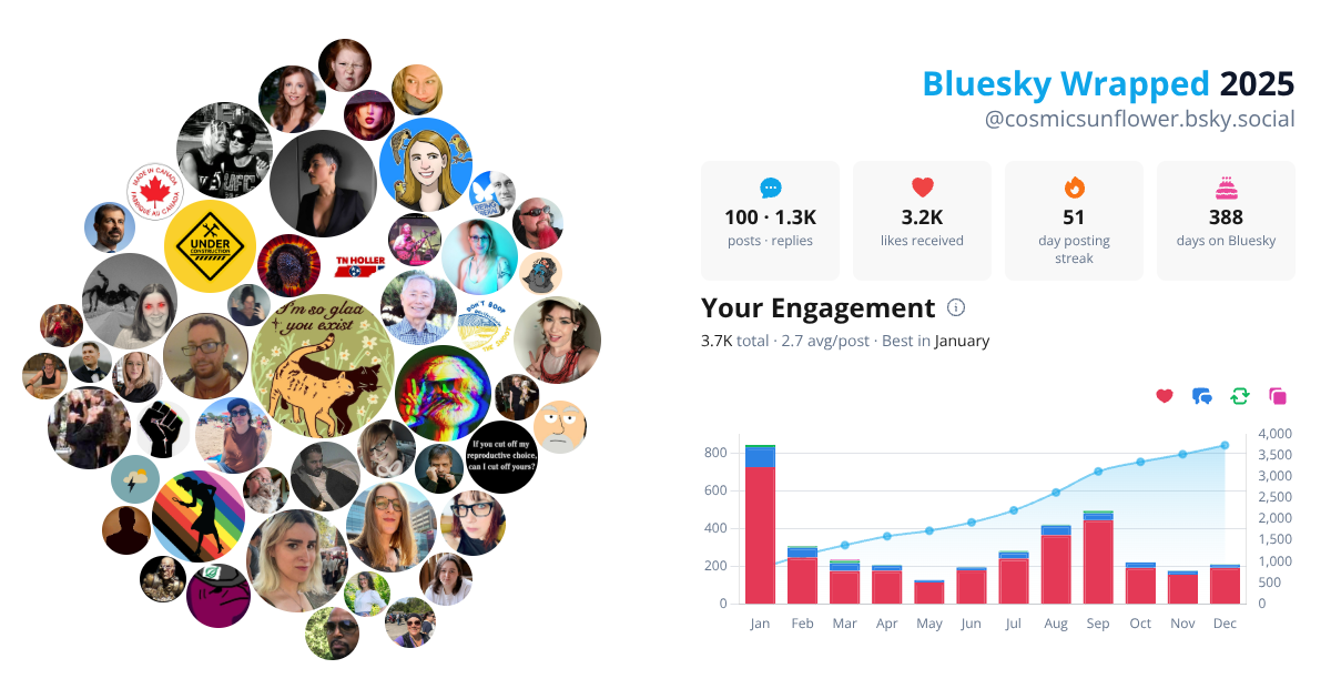 Your Bluesky Wrapped 2025 preview