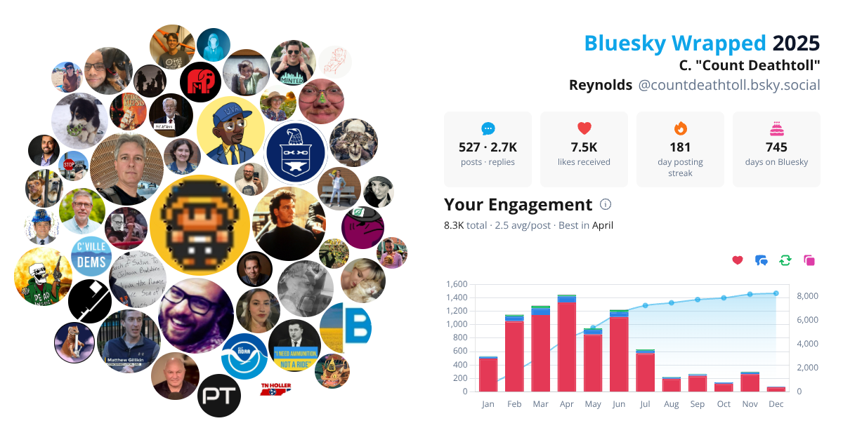Your Bluesky Wrapped 2025 preview