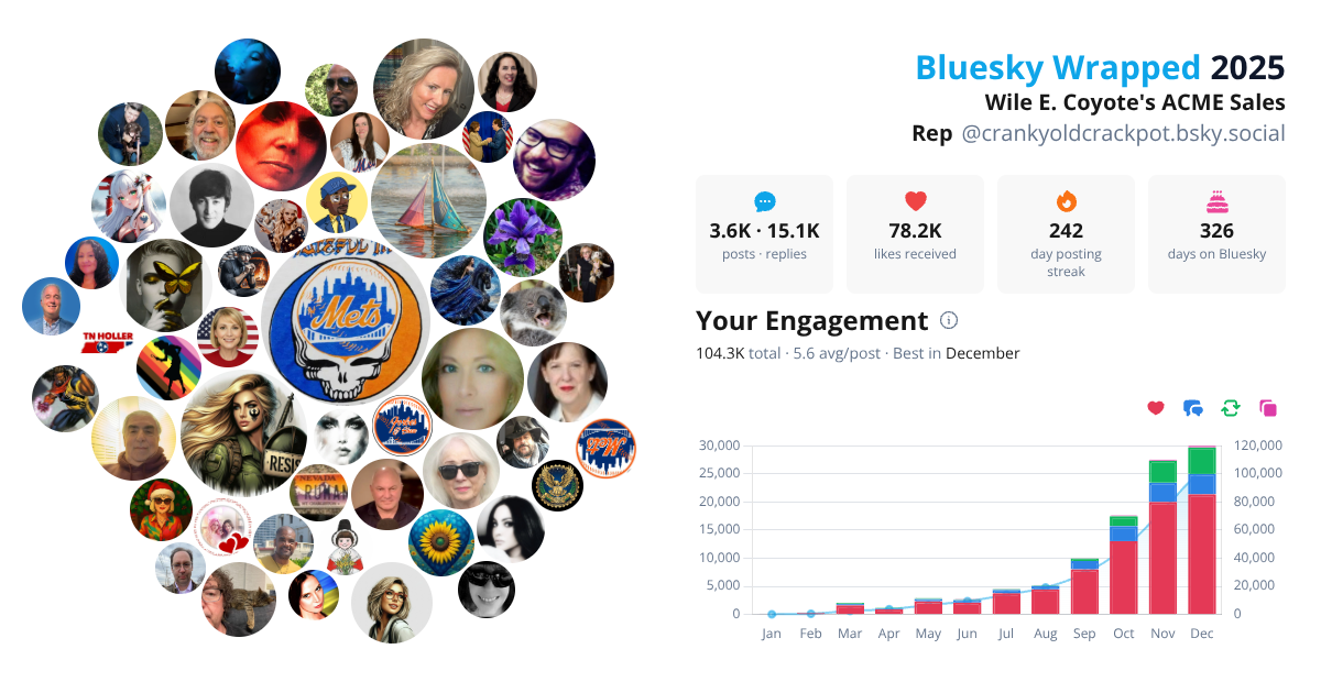 Your Bluesky Wrapped 2025 preview