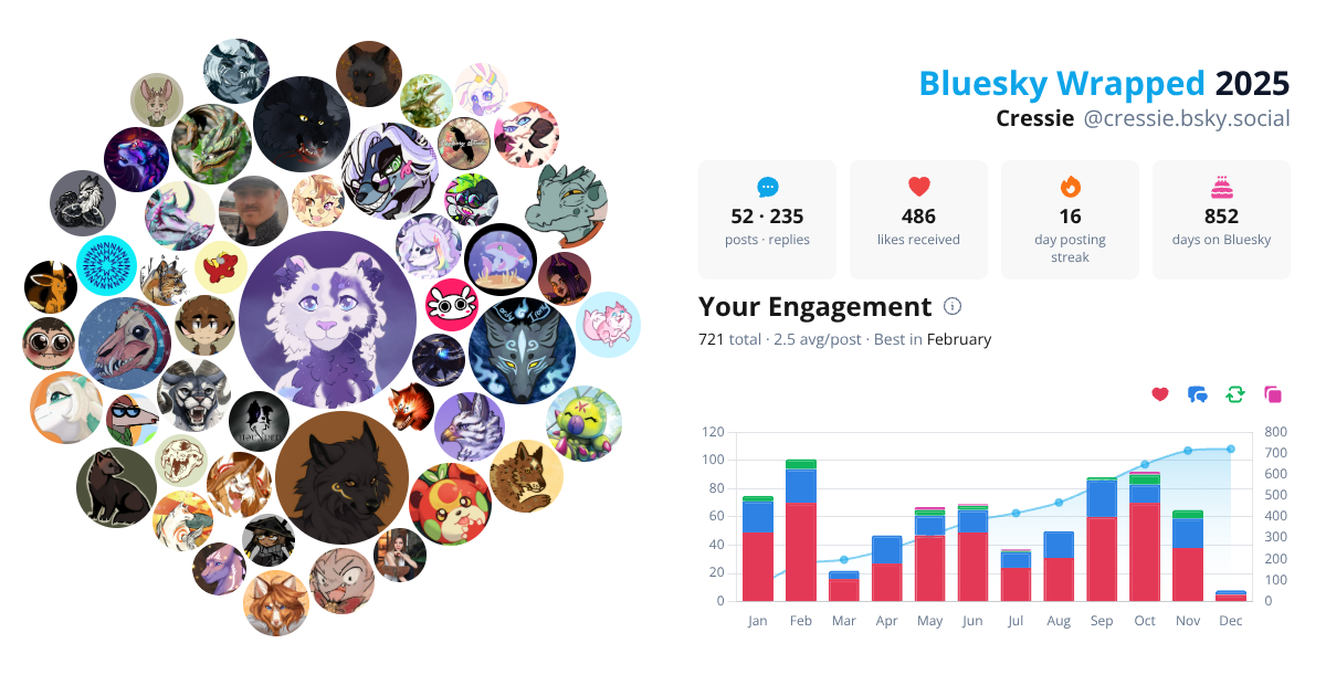 Your Bluesky Wrapped 2025 preview