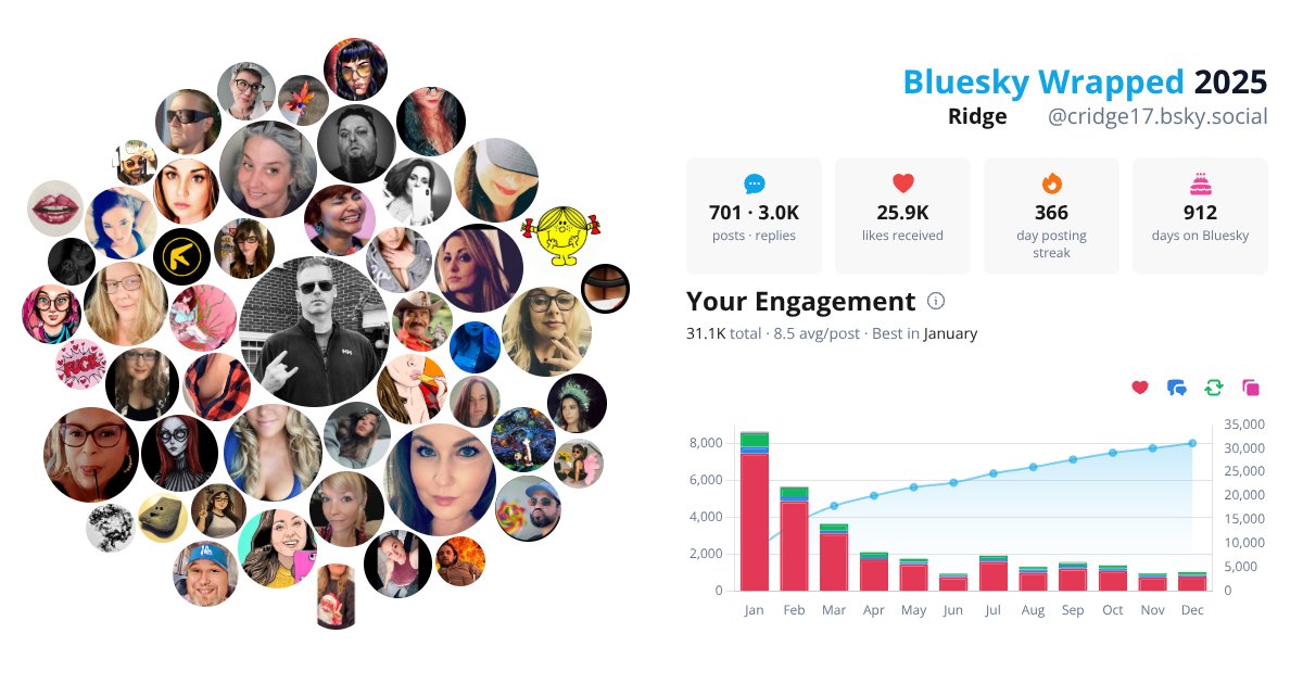 Your Bluesky Wrapped 2025 preview