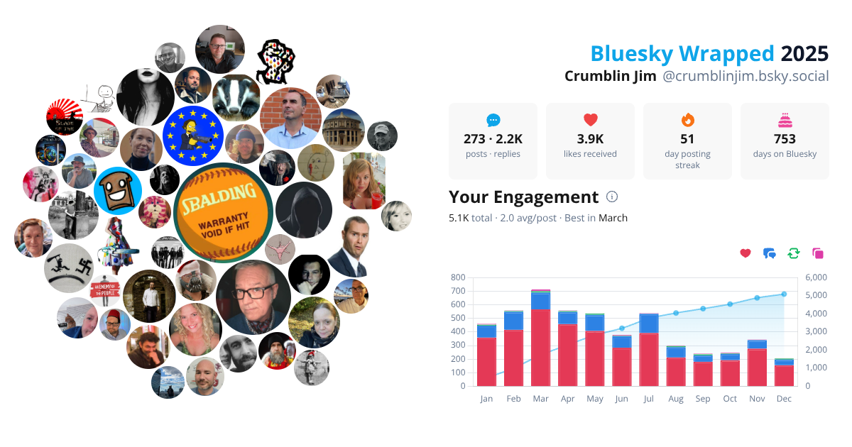 Your Bluesky Wrapped 2025 preview