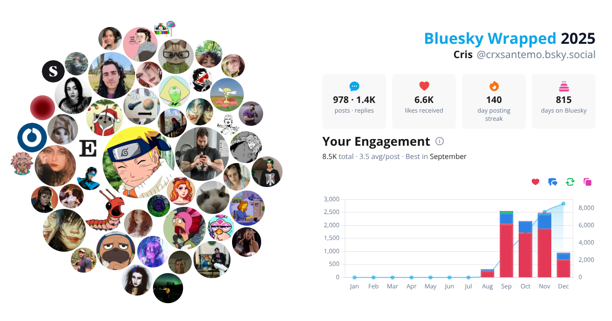 Your Bluesky Wrapped 2025 preview