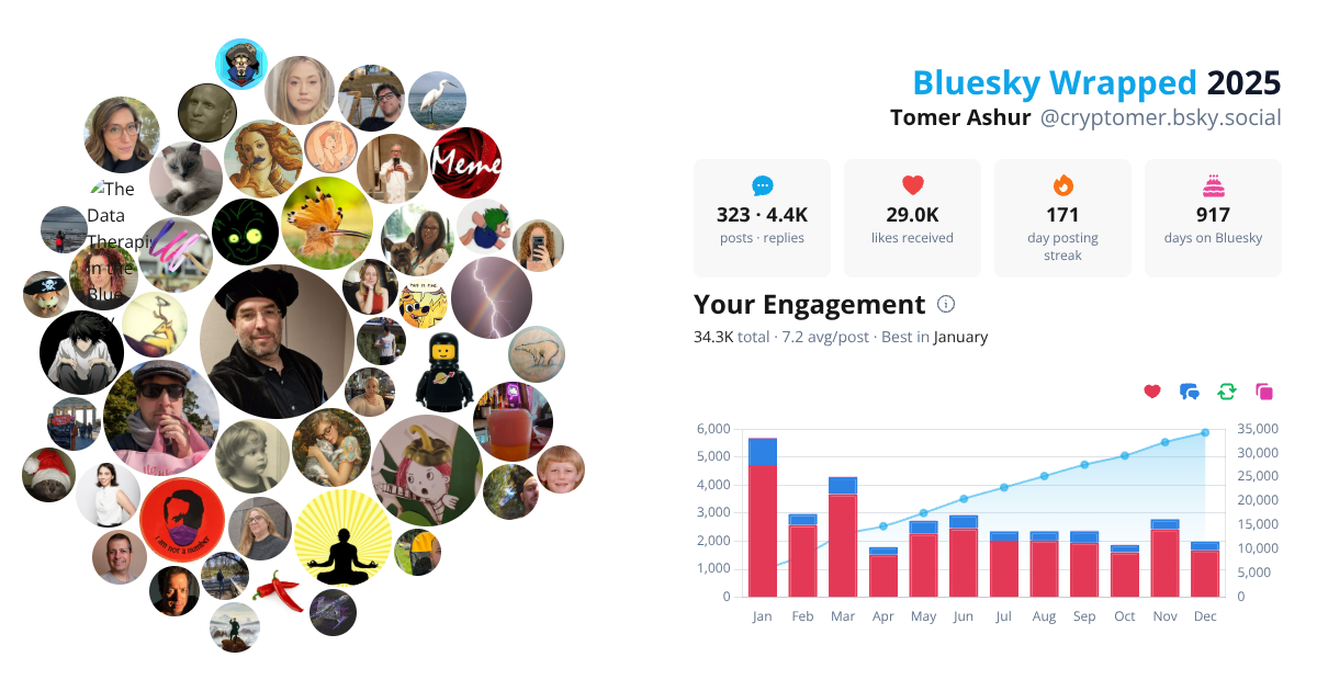 Your Bluesky Wrapped 2025 preview