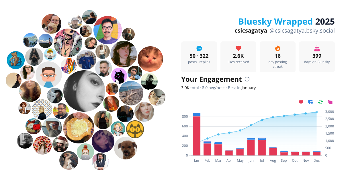 Your Bluesky Wrapped 2025 preview