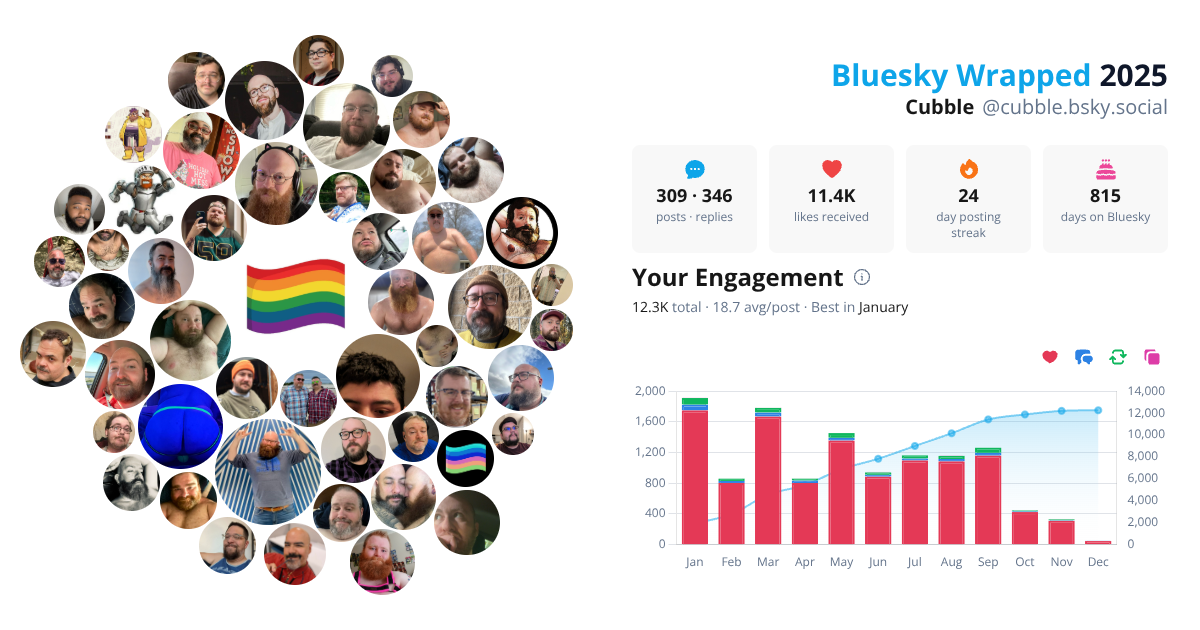 Your Bluesky Wrapped 2025 preview