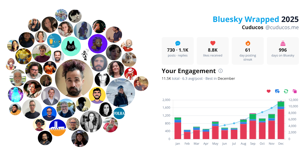 Your Bluesky Wrapped 2025 preview