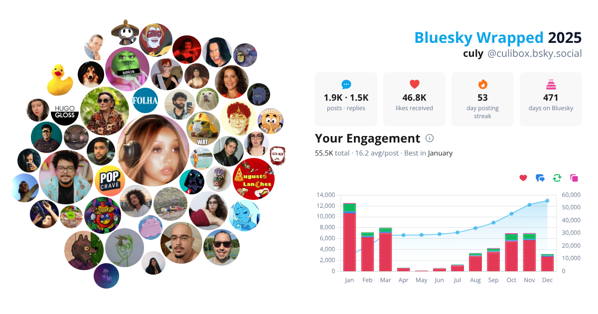 Your Bluesky Wrapped 2025 preview
