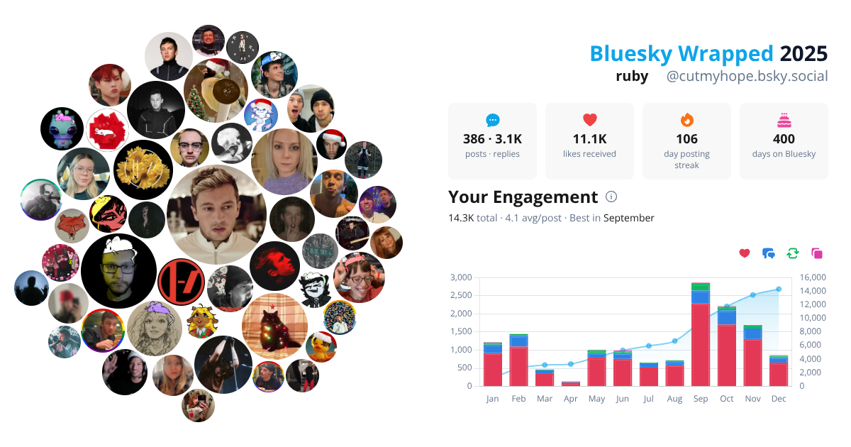 Your Bluesky Wrapped 2025 preview