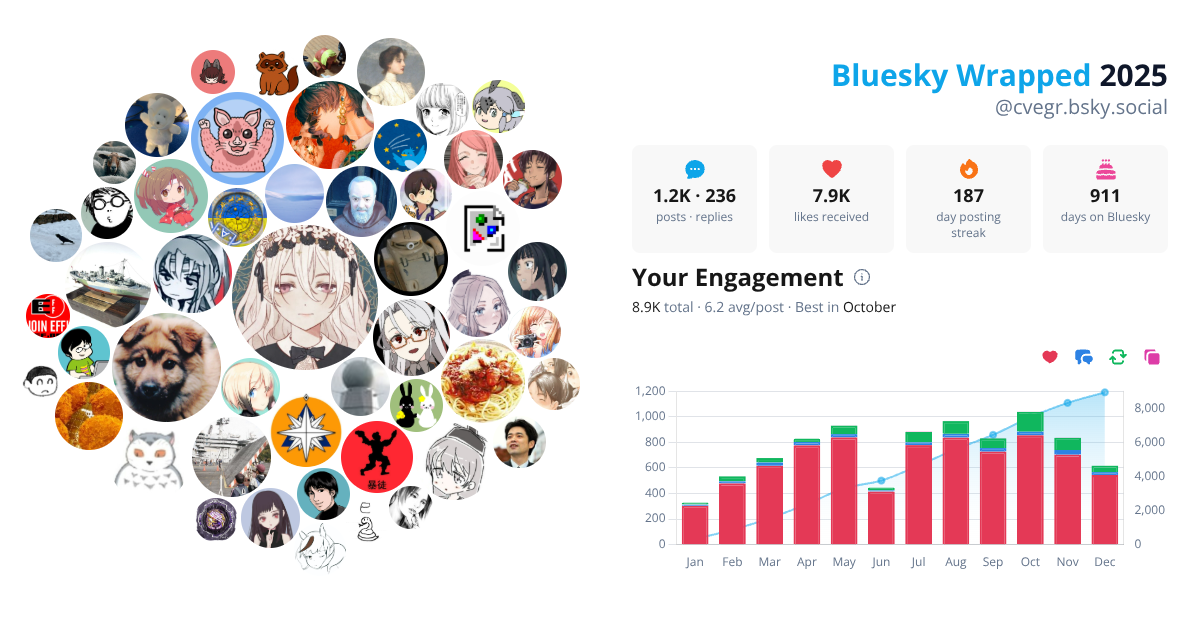 Your Bluesky Wrapped 2025 preview