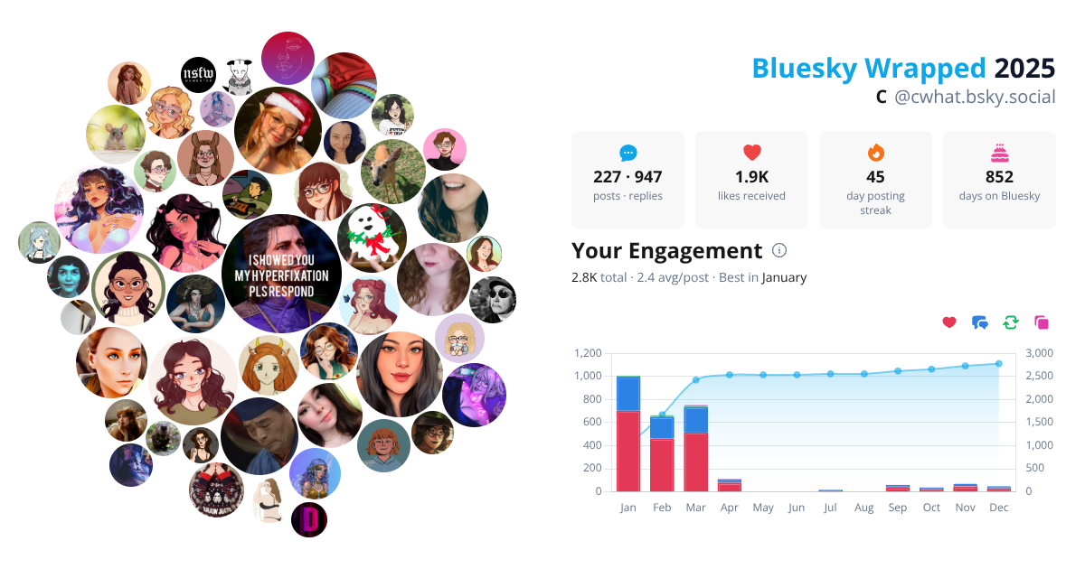 Your Bluesky Wrapped 2025 preview
