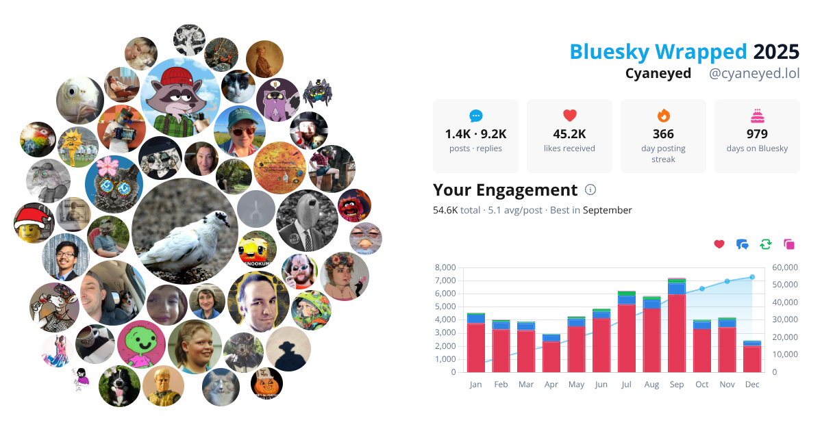 Your Bluesky Wrapped 2025 preview