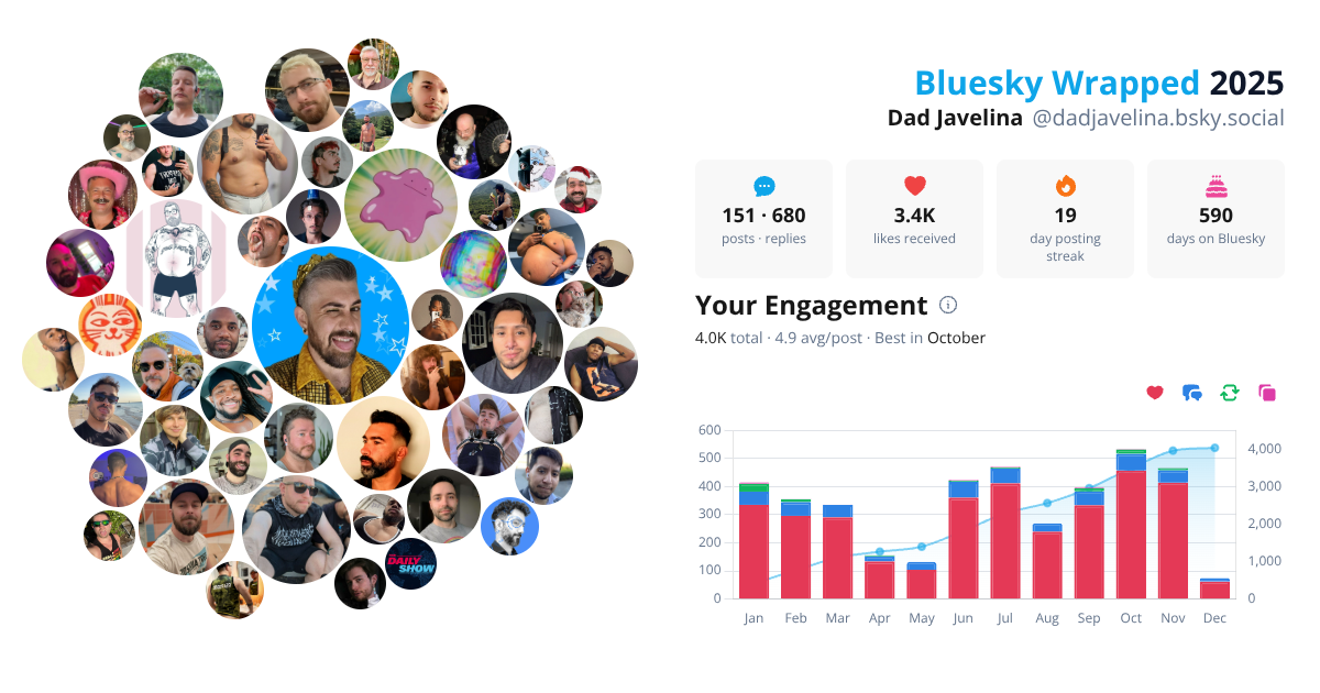 Your Bluesky Wrapped 2025 preview