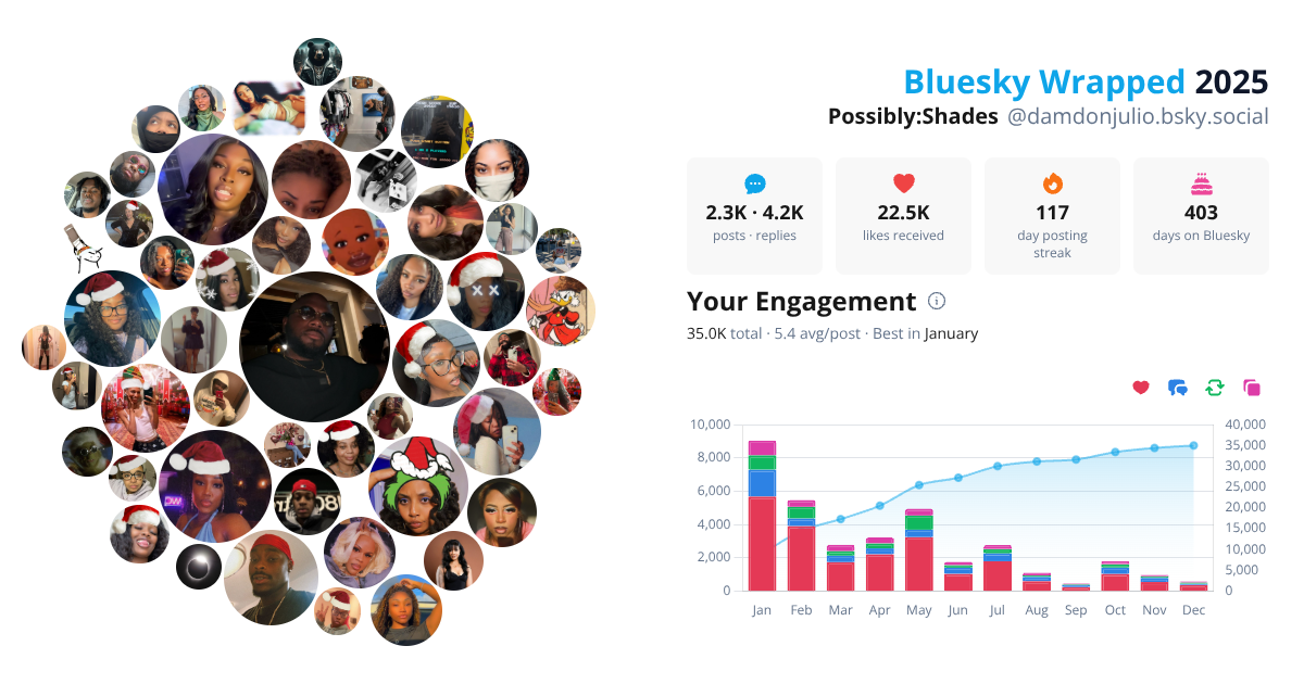 Your Bluesky Wrapped 2025 preview