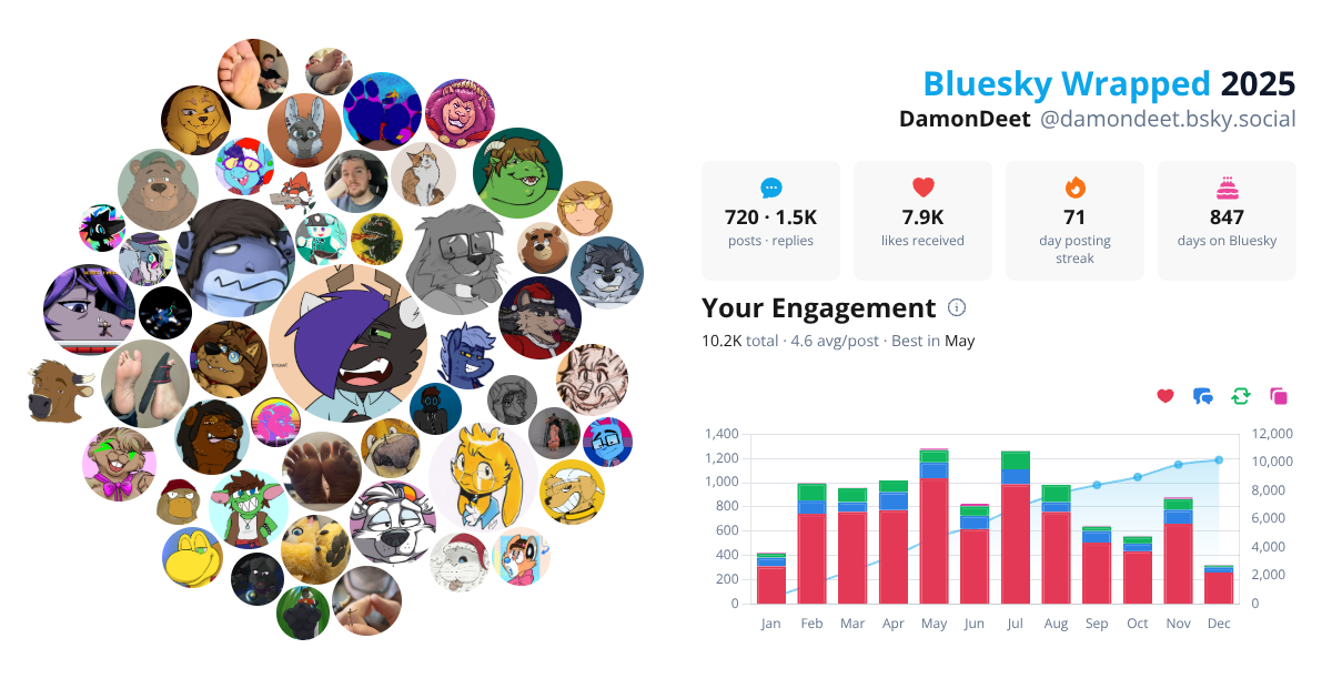 Your Bluesky Wrapped 2025 preview